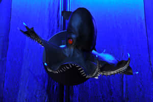 Vampire Squid Deep Blue Sea Wallpaper