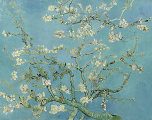 Van Gogh Almond Blossom Wallpaper