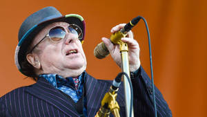 Van Morrison Popular Irish Singer Wallpaper