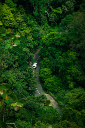 Van_ Winding_ Through_ Forest_ Greenery.jpg Wallpaper