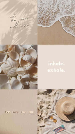 Vanilla Aesthetic Collage Sun Sea Shells Wallpaper