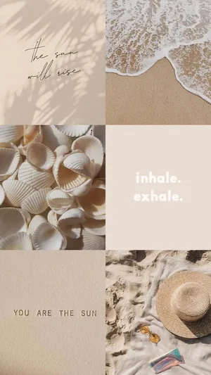 Vanilla Aesthetic Collage Sun Sea Shells Wallpaper