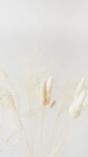 Vanilla Toned Dried Flowers Wallpaper