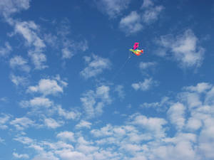 Vanuatu Blue Sky Red Kite Wallpaper