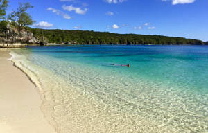 Vanuatu White Beach Wallpaper