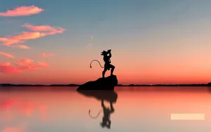 Vapid Silhouette On A Rock Wallpaper