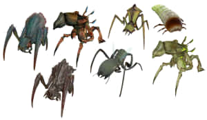 Varieties_of_ Antlion_ Concepts Wallpaper