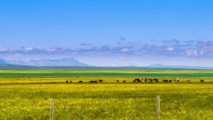Vast Green Farmland Landscape Wallpaper