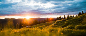 Vast Green Fields During Morning Glory Wallpaper