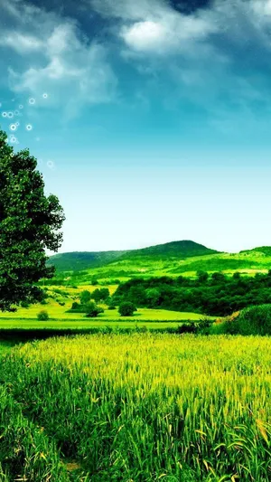 Vast Green Hills Nature Android Hd Wallpaper