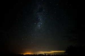 Vast Starry Night Sky Wallpaper