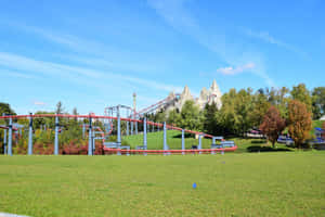 Vaughan Canada Amusement Park Roller Coaster Wallpaper