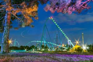 Vaughan Nighttime Amusement Park Roller Coaster Wallpaper