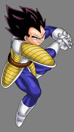 Vegeta Body Suit Dragon Ball Z Iphone Wallpaper