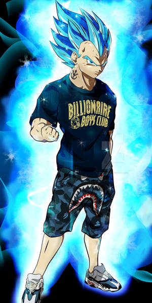 Vegeta May Be The Prince Of All Saiyans, But Goku Is The King Of Swag! Wallpaper