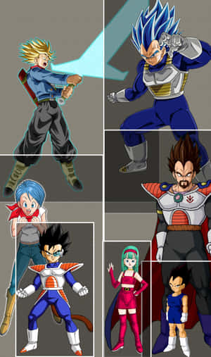 Vegeta's Family Portrait Wallpaper