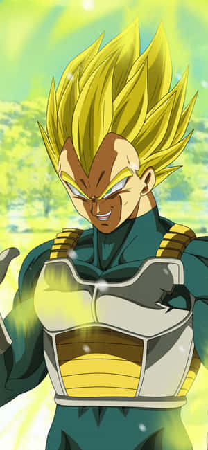 Vegeta Super Saiyan 2 1125 X 2436 Wallpaper Wallpaper