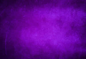 Velvet Is The Go-to Fabric For Luxury Fashion Wallpaper