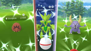 Venipede Scizor And Pinsir Wallpaper