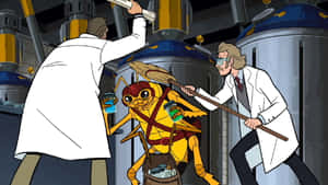 Venture Bros Lab Showdown Wallpaper