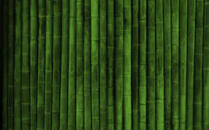 Verdant Green Bamboo Forest In Nature Wallpaper