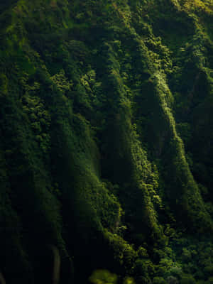 Verdant_ Mountain_ Slopes Wallpaper