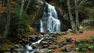 Vermont Moss Glen Falls Wallpaper