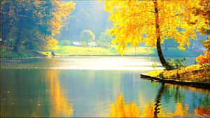 Very Stunning Lake View Of The Lake Wallpaper