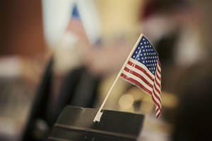 Veterans Day Flag And Shield Wallpaper