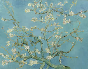 Vibrant Almond Blossoms In Full Bloom By Vincent Van Gogh Wallpaper