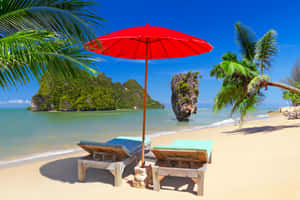 Vibrant And Colorful Beach Umbrellas On A Sunny Day At The Beach Wallpaper