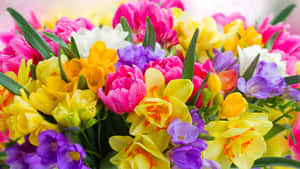 Vibrant And Colorful Flowers In Full Bloom Wallpaper