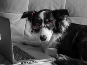 Vibrant And Serene Mountain Scenes Wallpaper