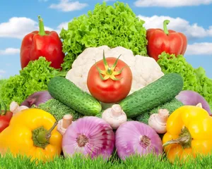 Vibrant Array Of Fresh Vegetables Wallpaper