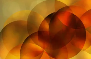 Vibrant Autumn Colors In The Forest Wallpaper