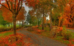 Vibrant Autumn Foliage Beside A Tranquil Lake Wallpaper