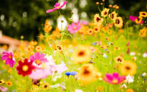 Vibrant Blossom At Dusk Wallpaper