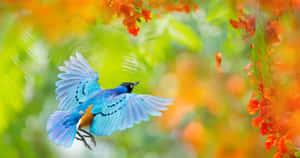 Vibrant_ Blue_ Bird_ Mid_ Flight Wallpaper