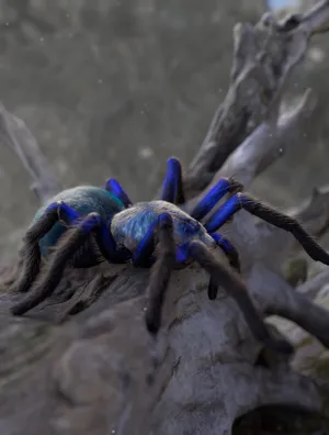 Vibrant Blue Tarantulaon Driftwood Wallpaper