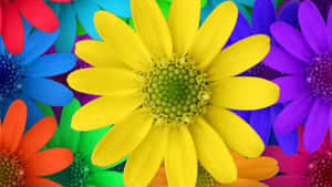 Vibrant Bouquet Of Colorful Flowers Wallpaper