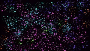 Vibrant Colorful Spectrum Hues Wallpaper