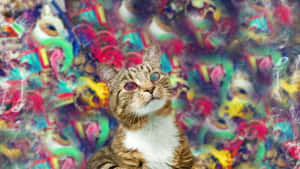 Vibrant Colors Create A Trippy Animal Wonderland Wallpaper