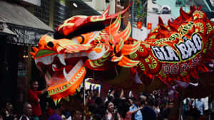 Vibrant Dragon Dance Celebration Wallpaper