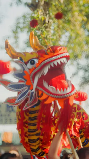 Vibrant Dragon Dance Performance Wallpaper