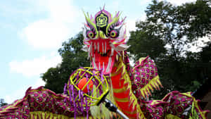 Vibrant Dragon Dance Performance Wallpaper