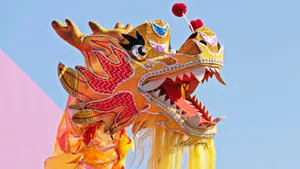 Vibrant Dragon Dance Performance Wallpaper