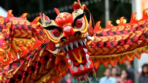 Vibrant Dragon Dance Performance Wallpaper