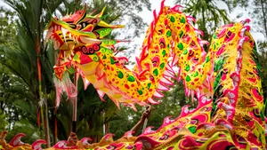 Vibrant Dragon Dance Performance Wallpaper