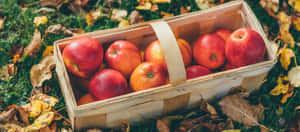 Vibrant Fall Apples On A Rustic Wooden Table Wallpaper