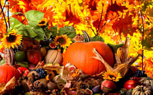 Vibrant Fall Harvest Scene Wallpaper